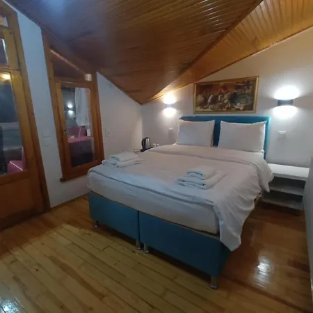 Buyukada Cinar (adults Only) Hotel 2*