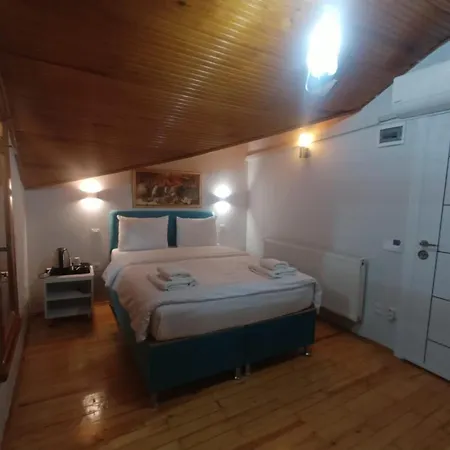 Buyukada Cinar (adults Only) 2* Adalar