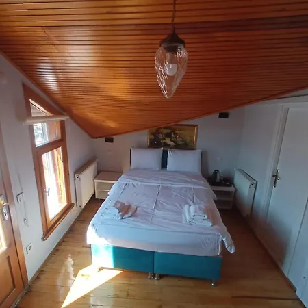 Buyukada Cinar (adults Only) Hotel 2*