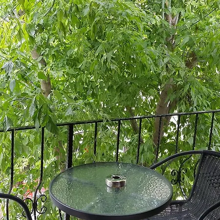 Hotel Buyukada Cinar (adults Only) Adalar